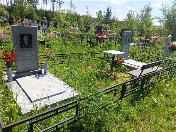 Пронуза Виктор Владимирович