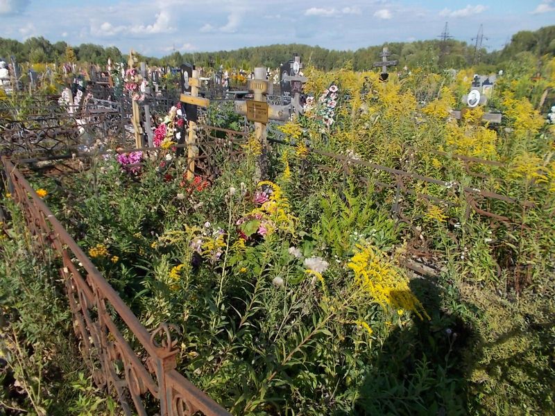 Руднев Анатолий Валерьевич