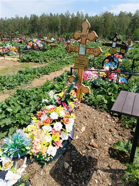 Алексеева Нелля Владимировна