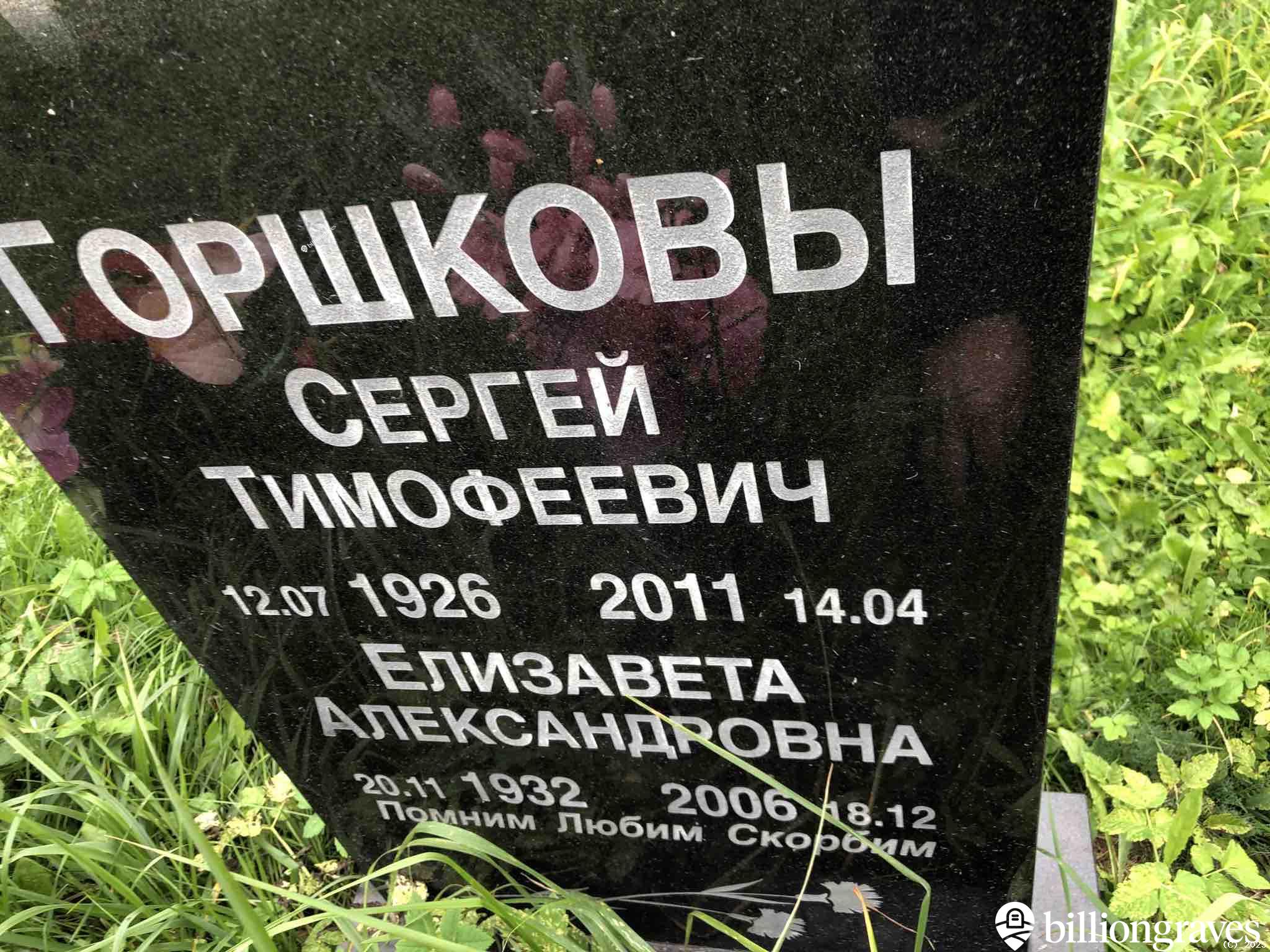 Горшкова Елизавета Александровна