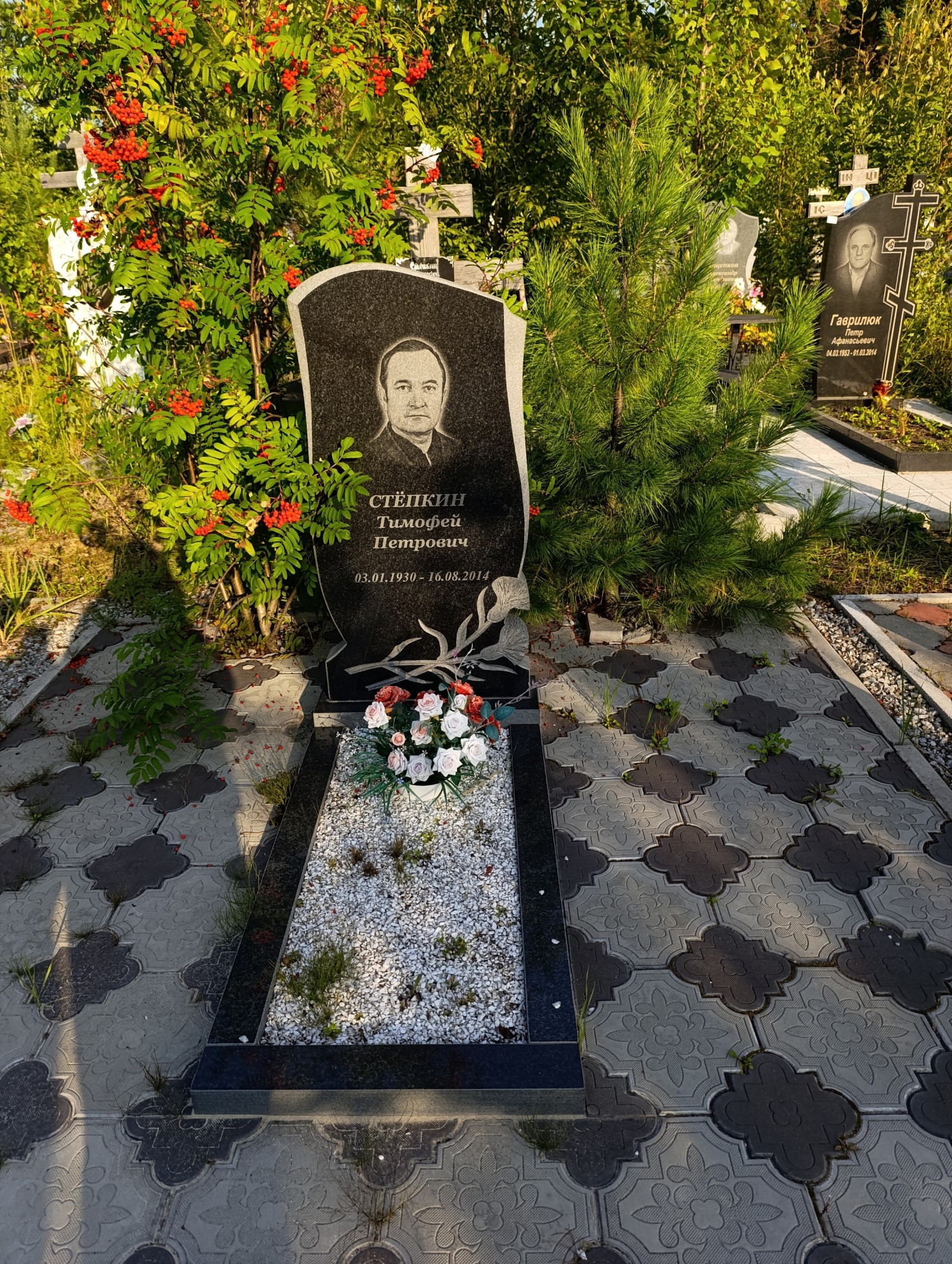 Степкин Тимофей Петрович