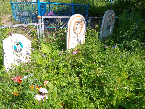 Дмитриева Ольга Дмитриевна