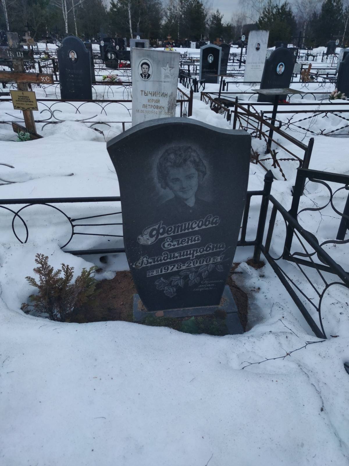 Фетисова Елена Владимировна
