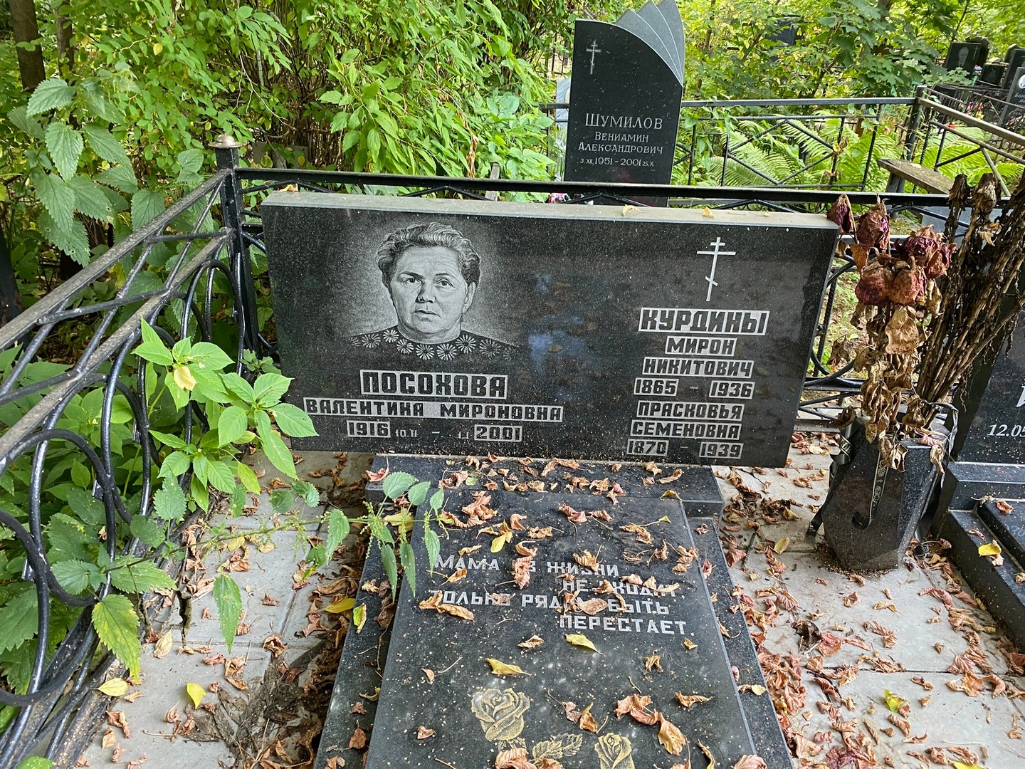 Посохова