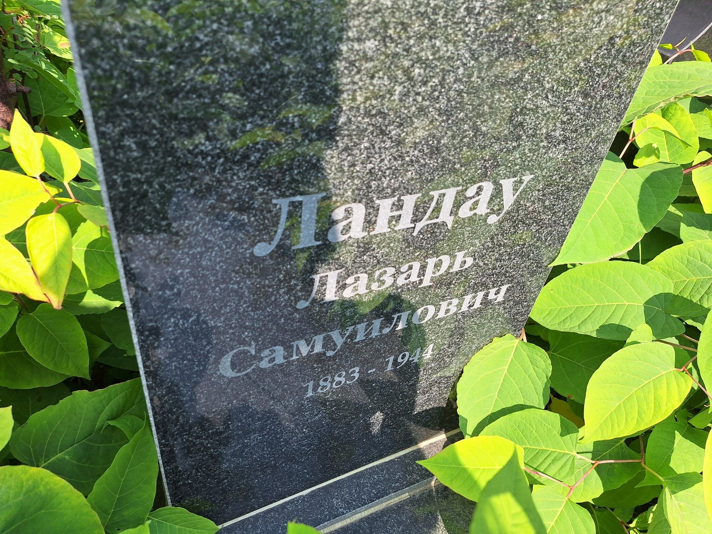 Лазарь Ландау Самуилович