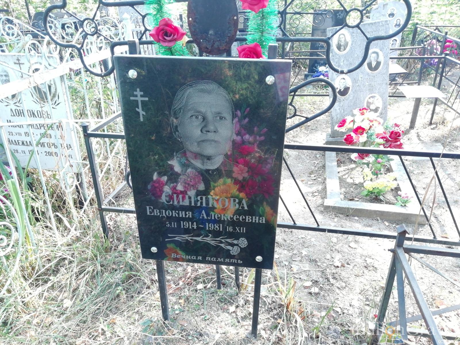 Синюкова Евдокия Алексеевна