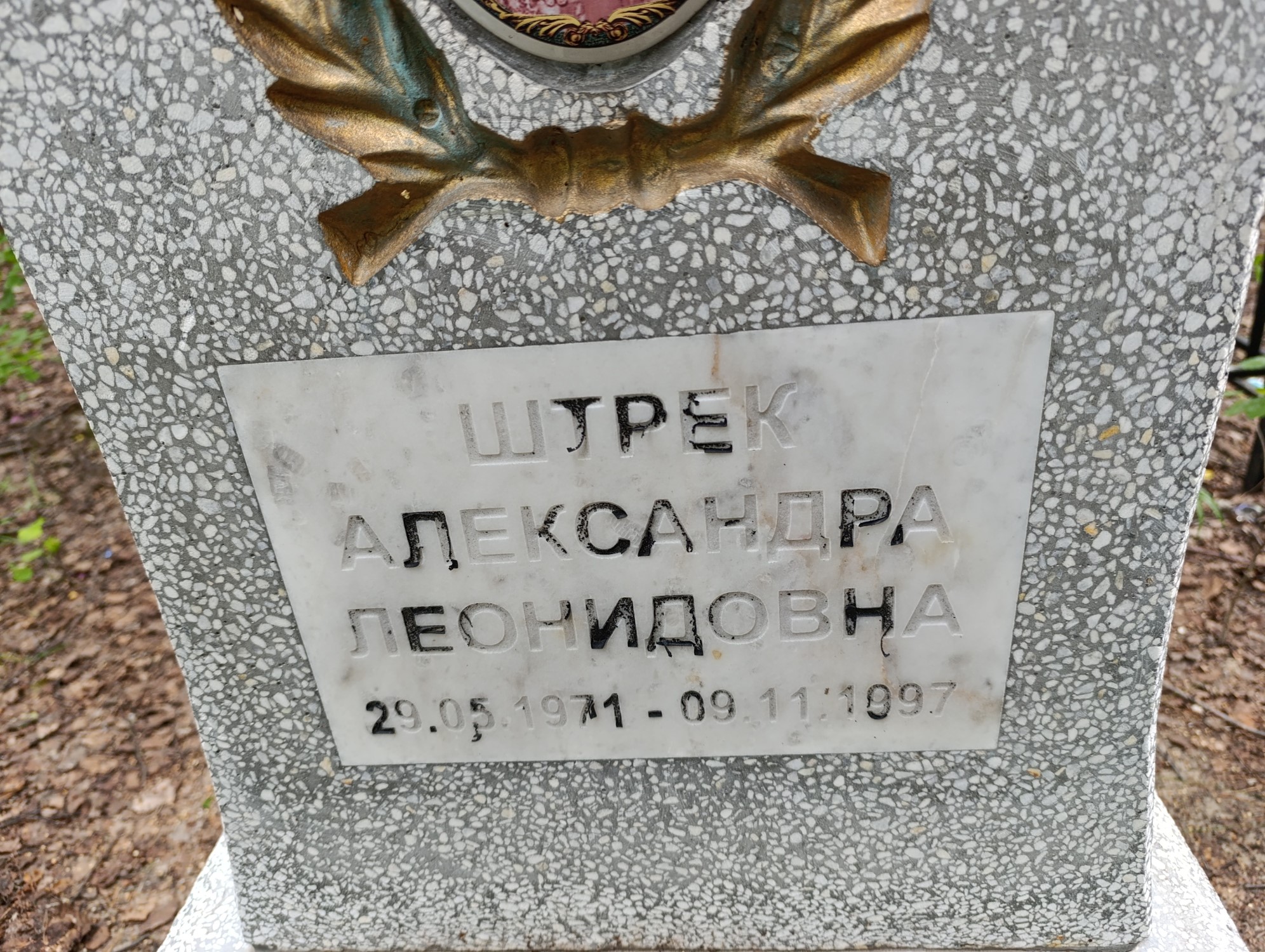 Штрек Александра Леонидовна