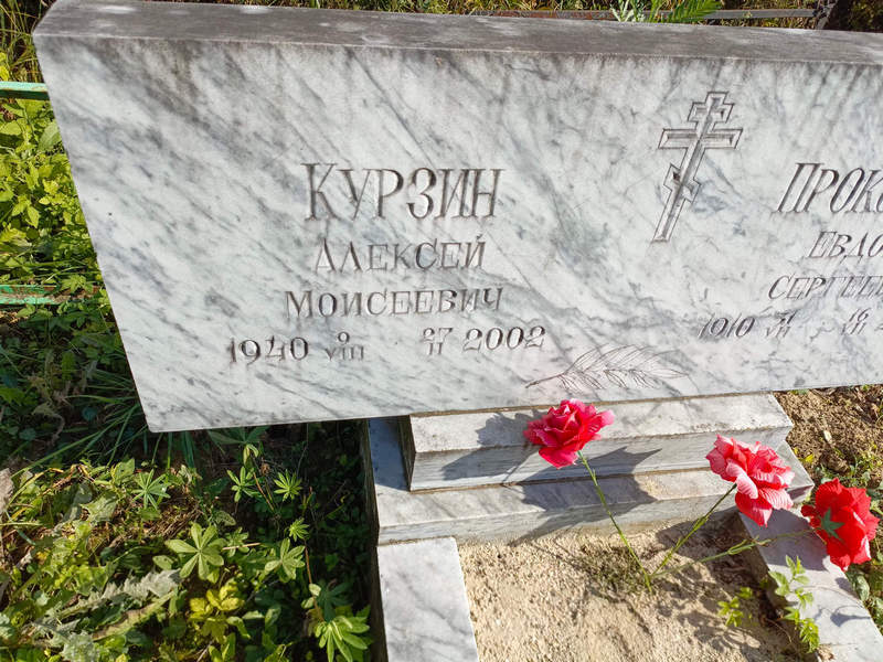 Курзин