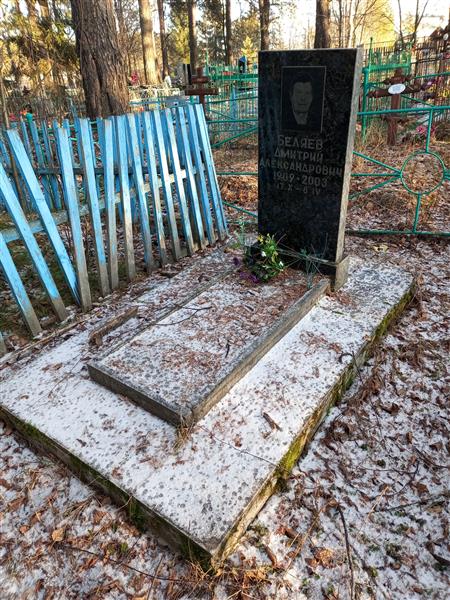 Беляев Дмитрий Александрович