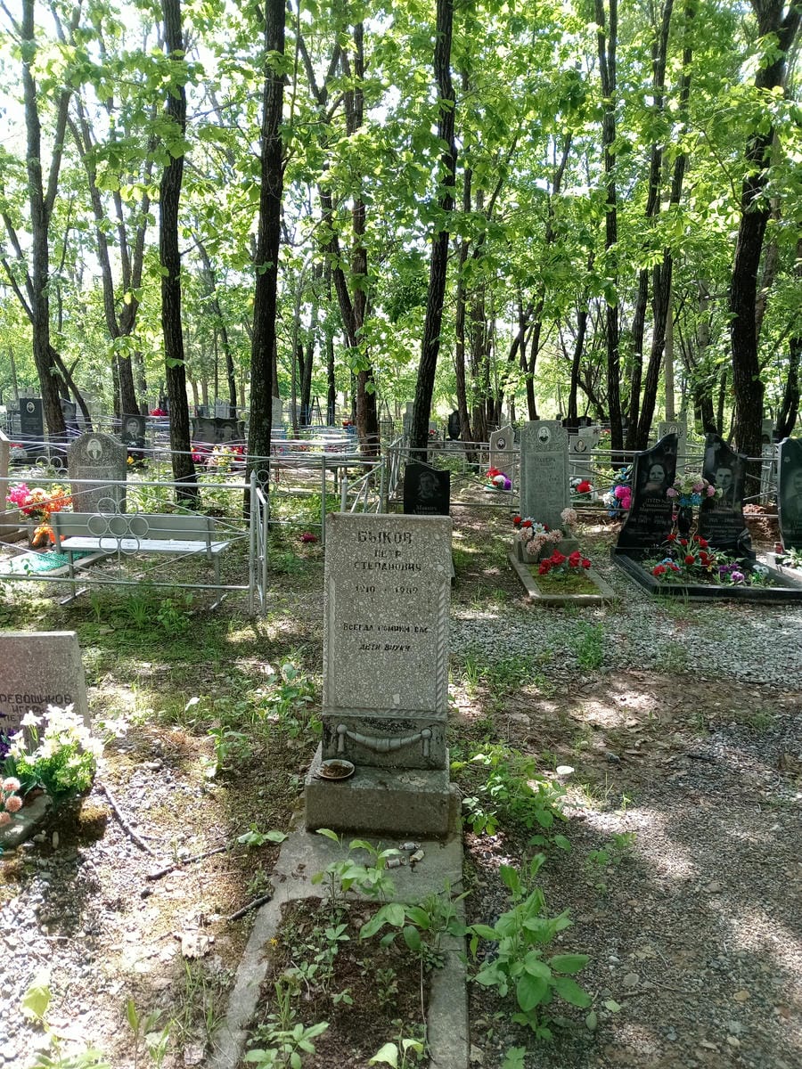 Быков Петр Степанович