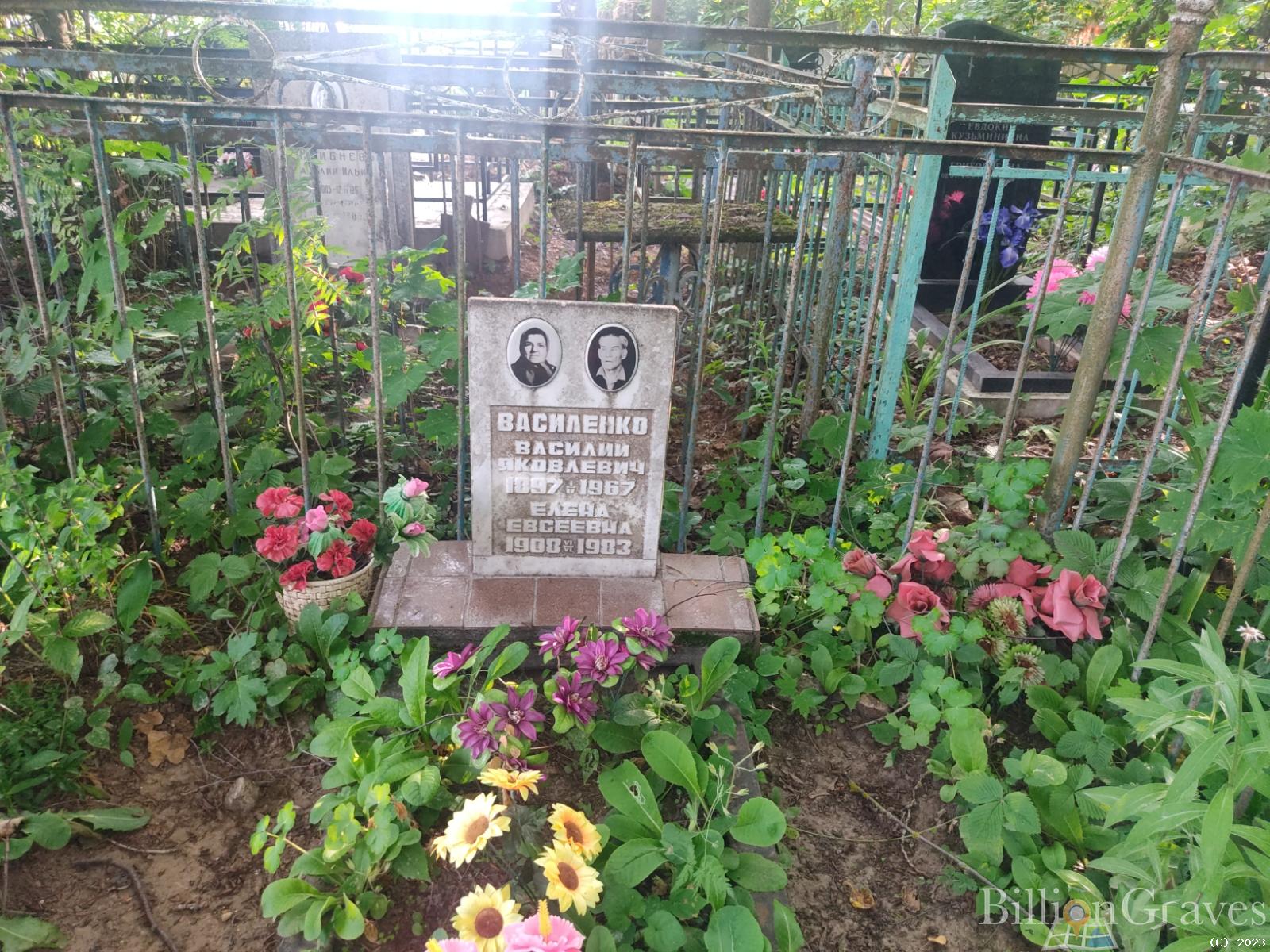 Василенко Елена