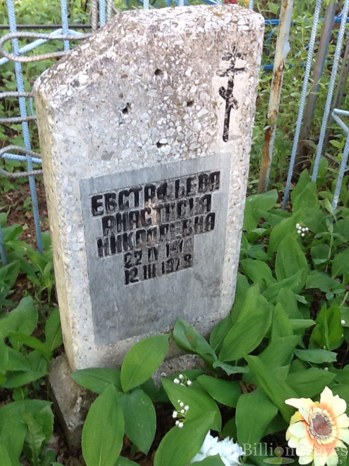 Евстафьева Анастасия Николаевна