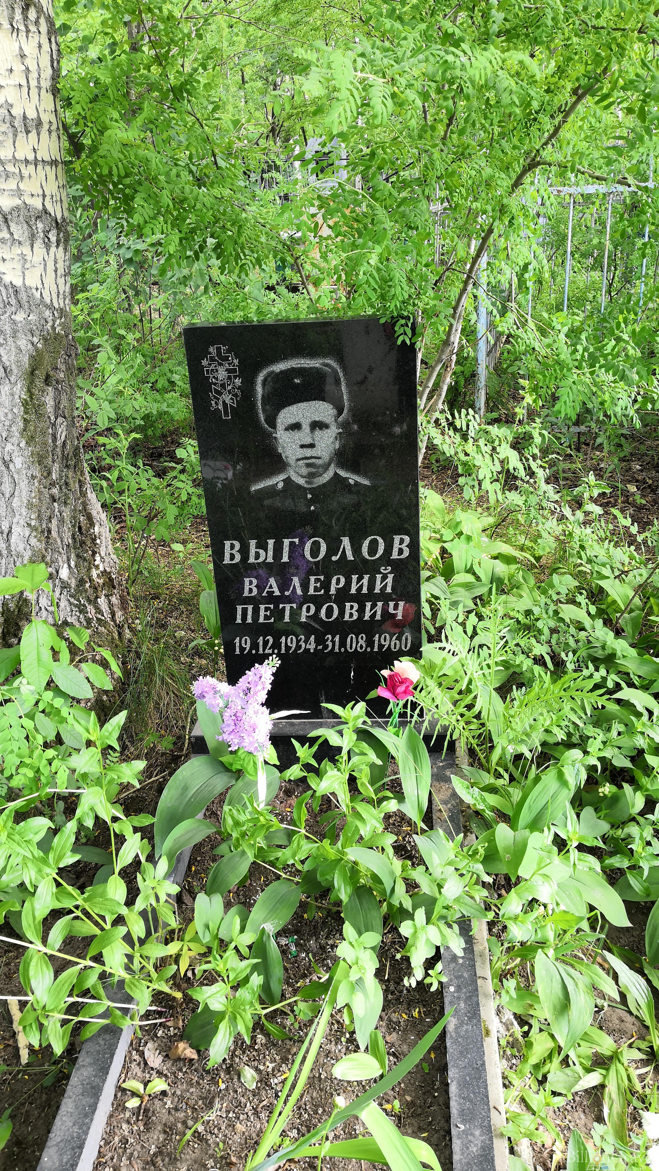 Выголов Валерий Петрович