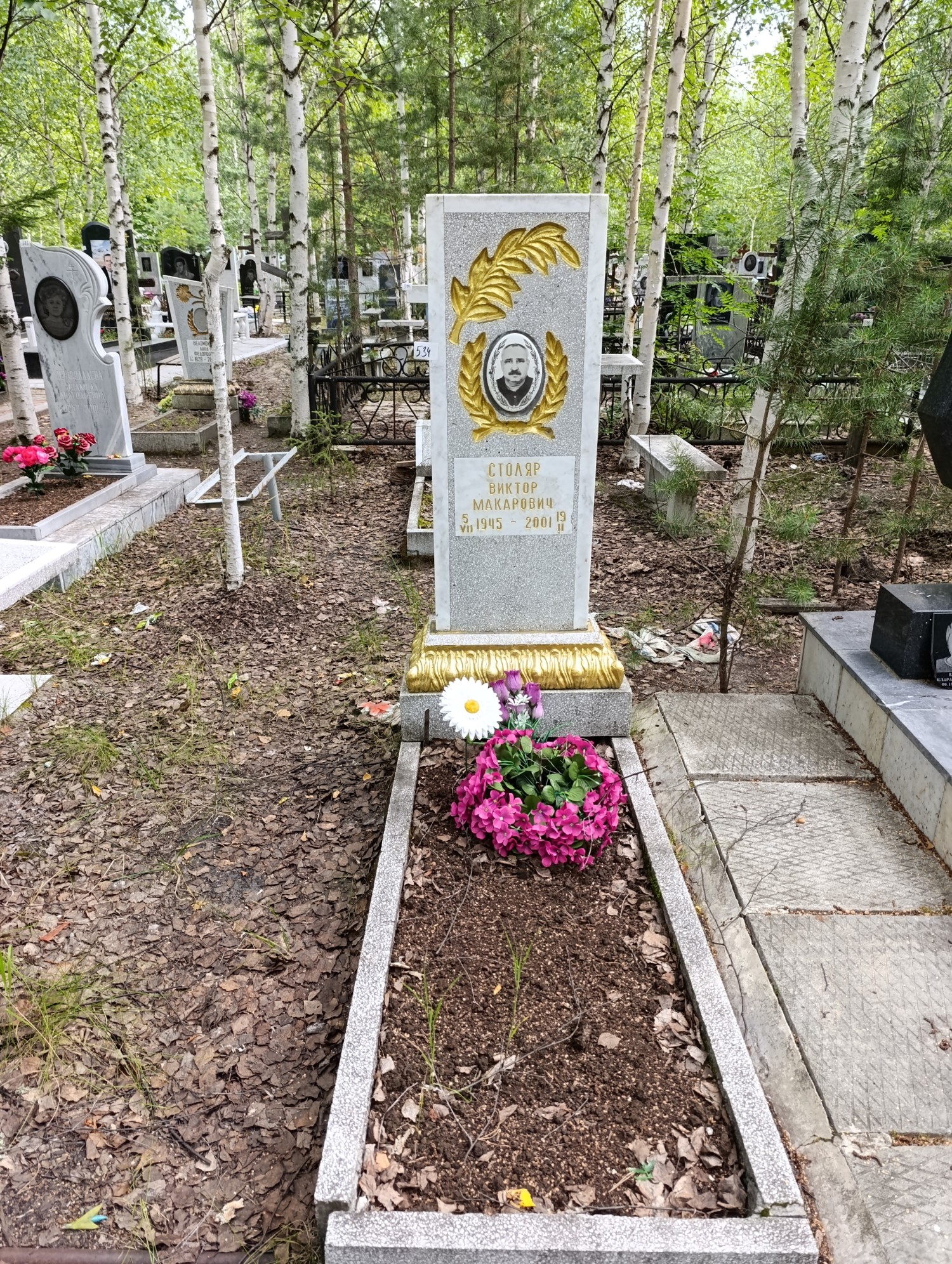 Столяр Виктор Макарович