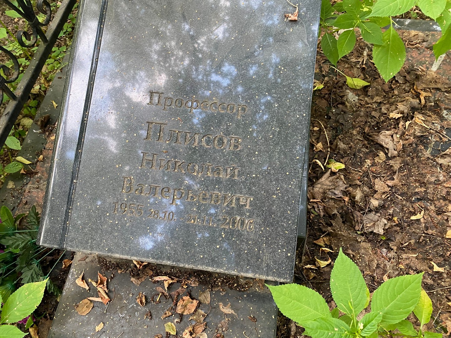 Плисов