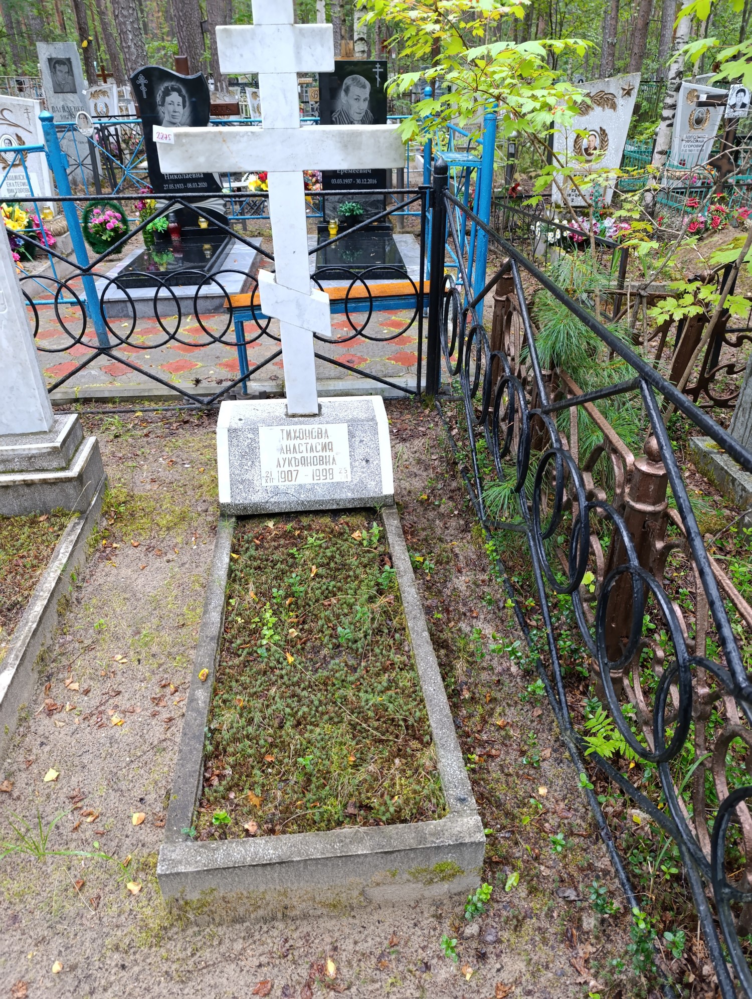 Тихонова Анастасия Лукьяновна