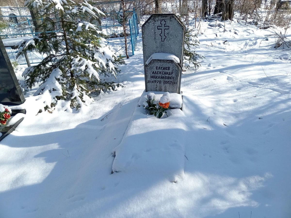 Елгаев Александр Михайлович