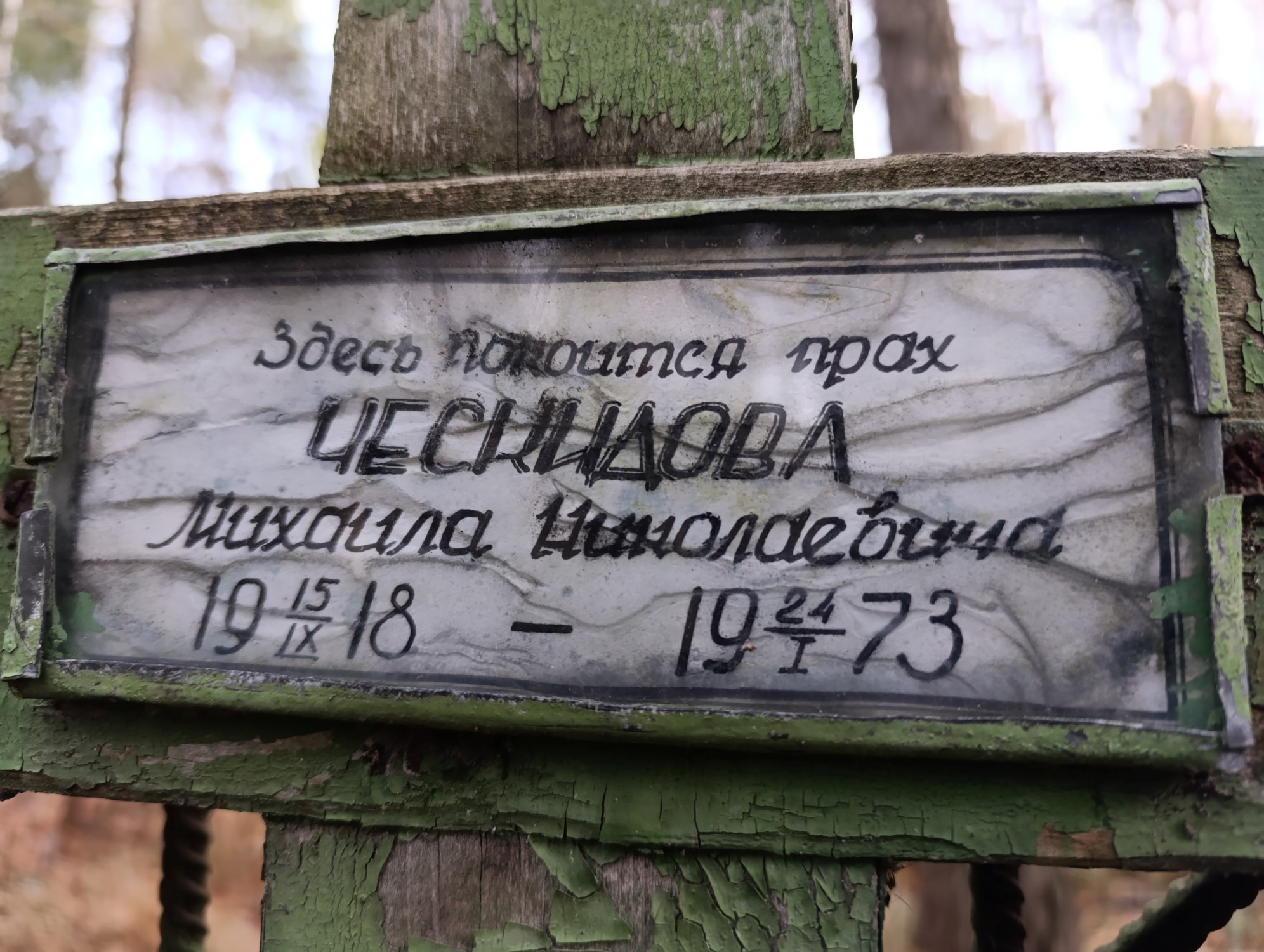 Ческидова Михаила Николаевна