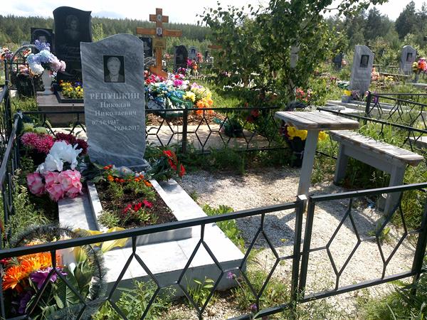 Репушкин Николай Николаевич