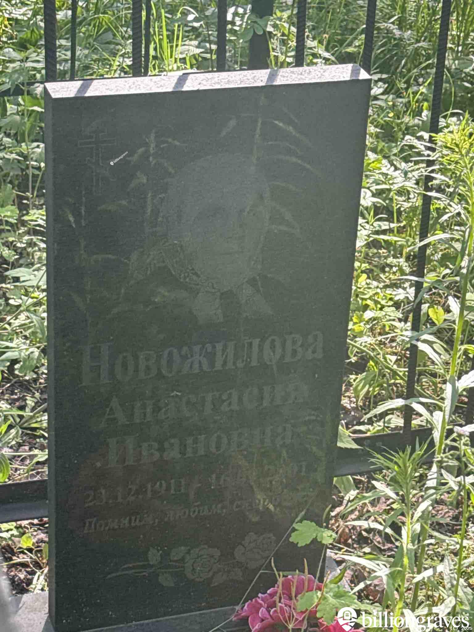 Новожилова Анастасия Ивановна