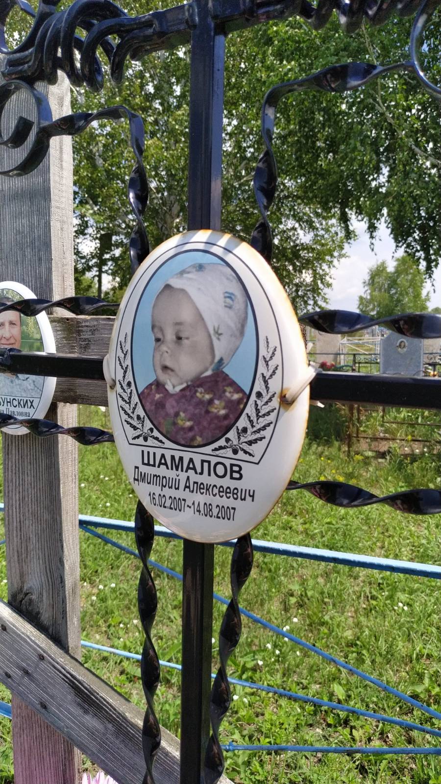 Шамалов Дмитрий Алексеевич