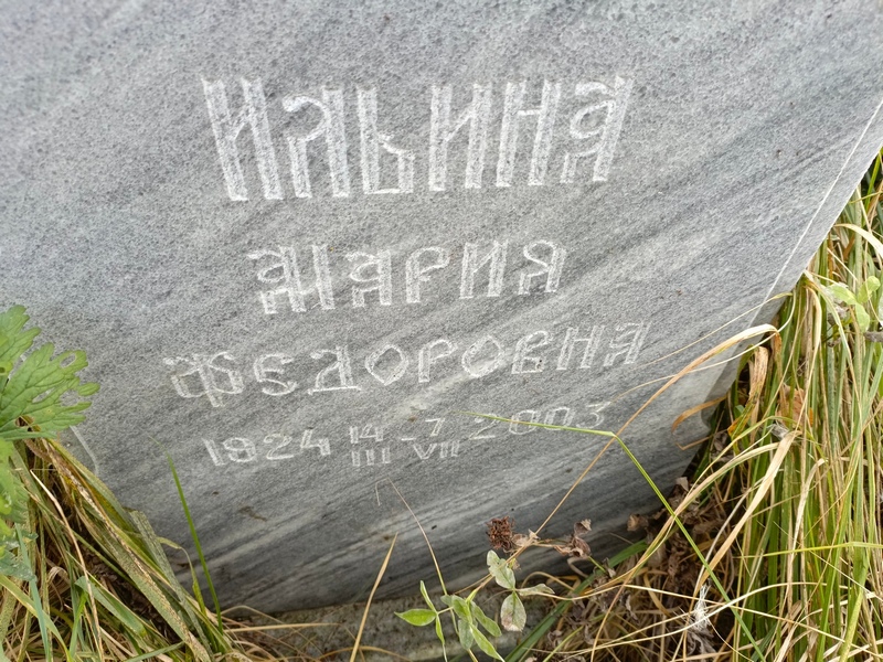 Ильина
