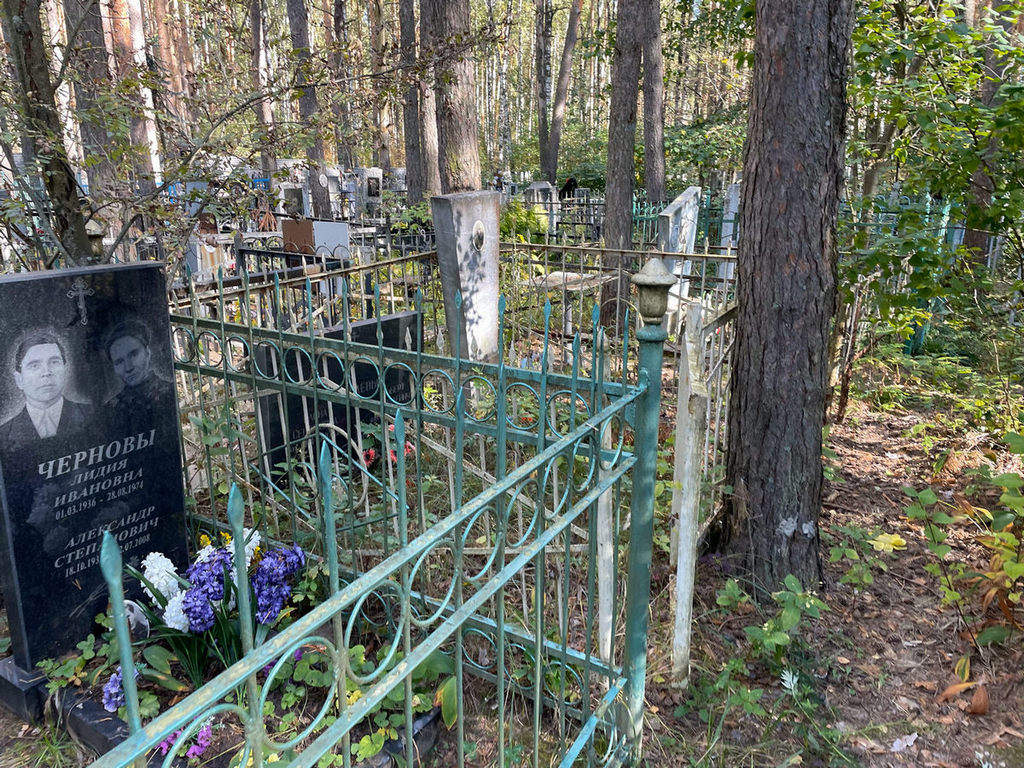 Киселев Альберт Николаевич