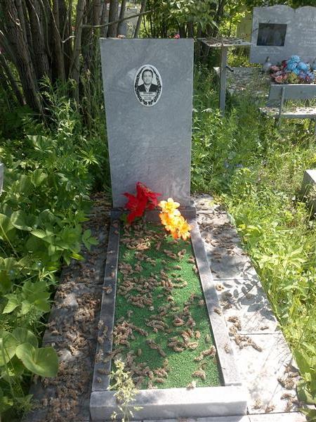 Ялунин Александр Петрович