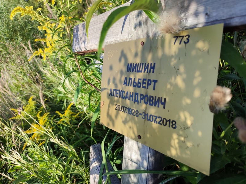 Альберт Мишин Александрович