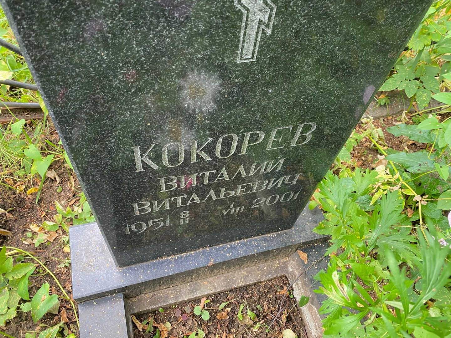 Кокорев