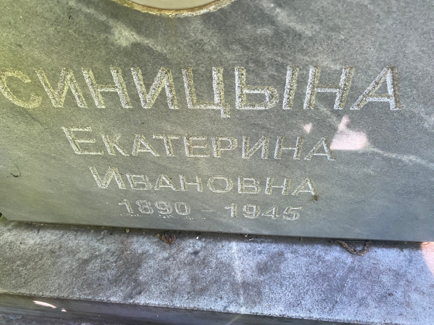 Синицына