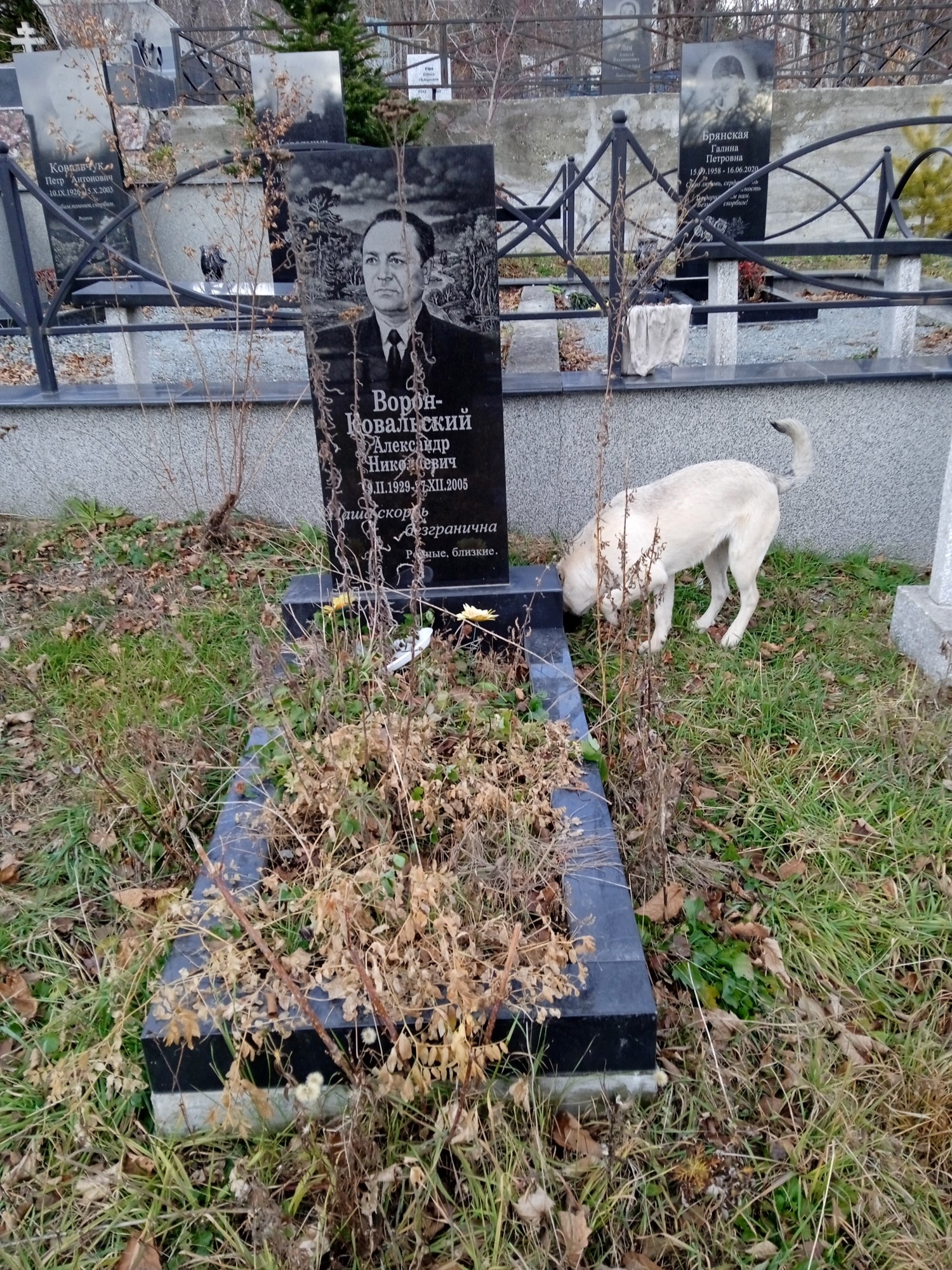 Корон Ковальский Александр