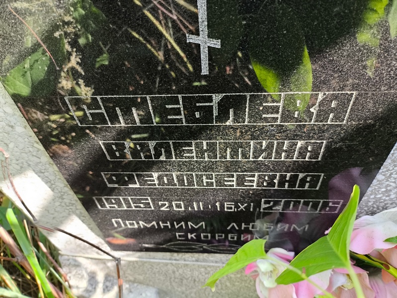 Стеблева