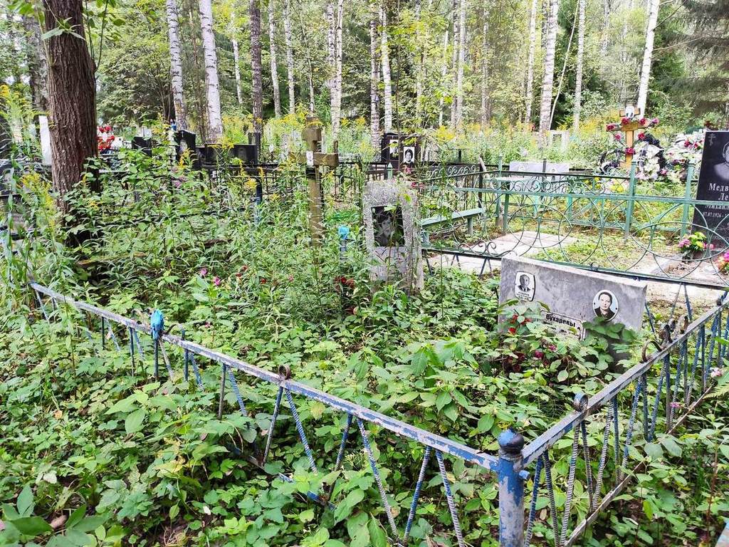 Сухарева Анна Алексеевна