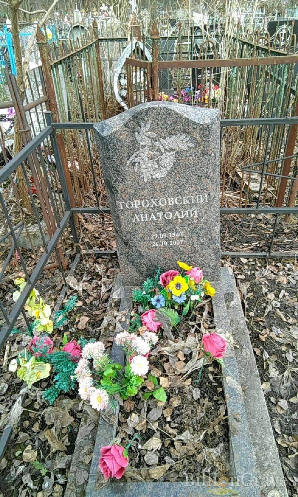 гороховский анатолий