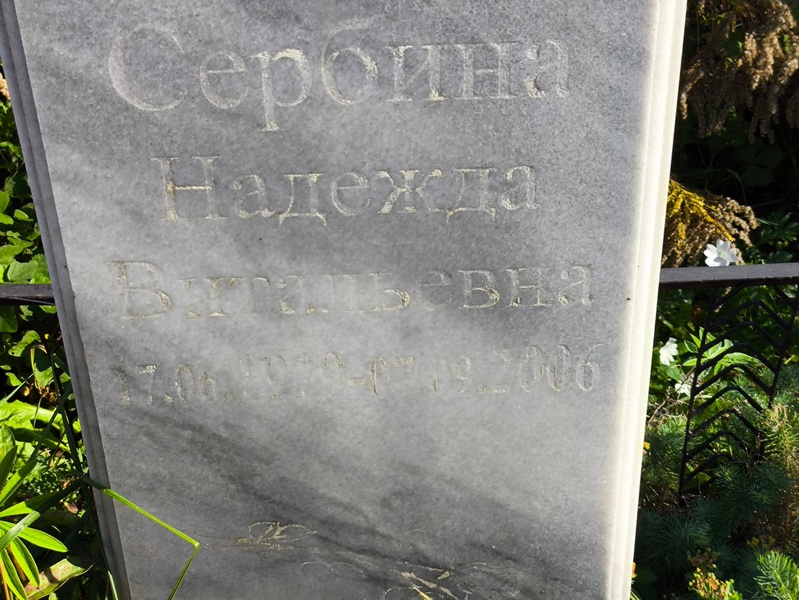 Сербина