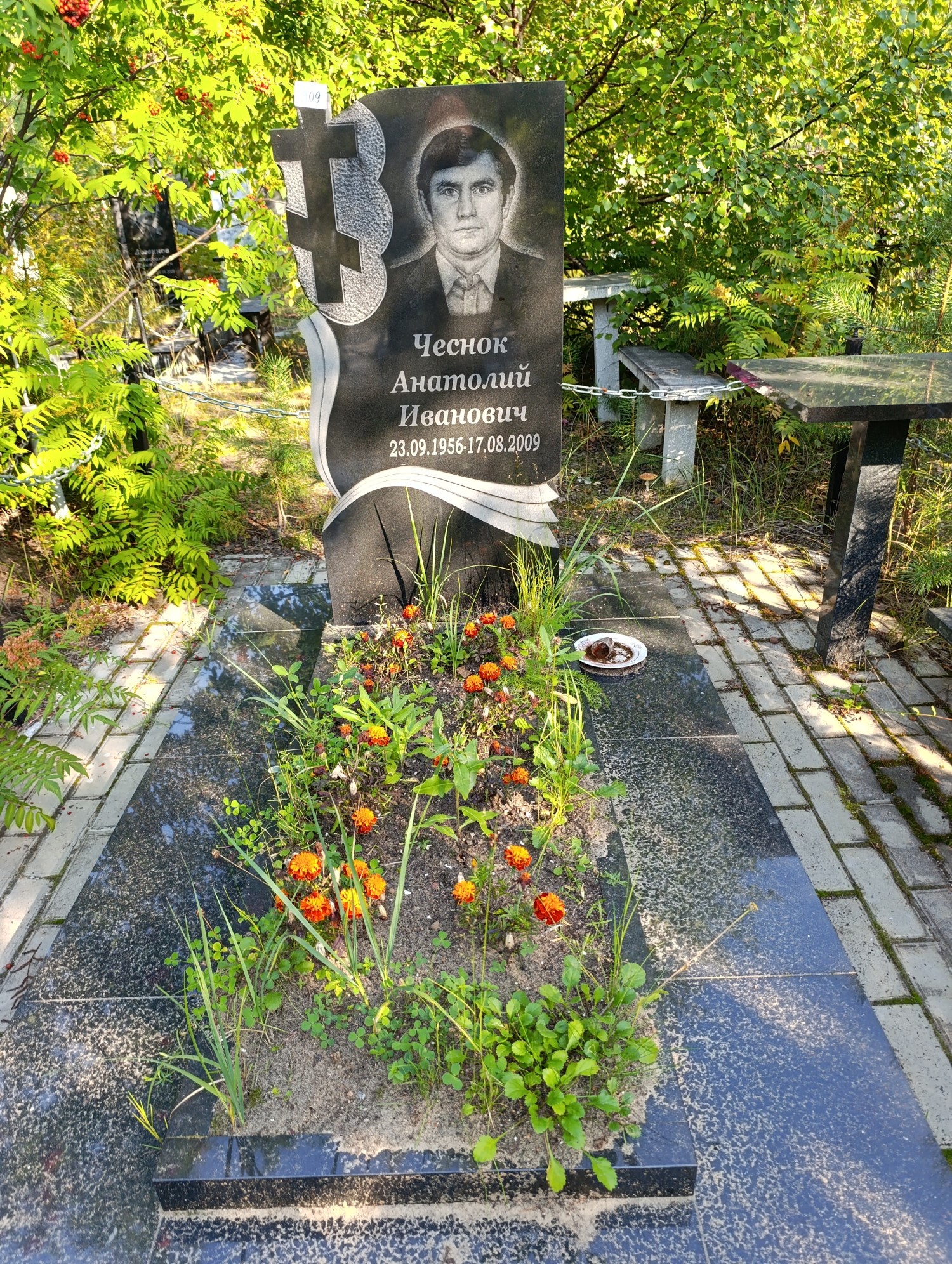 Чеснок Анатолий Иванович