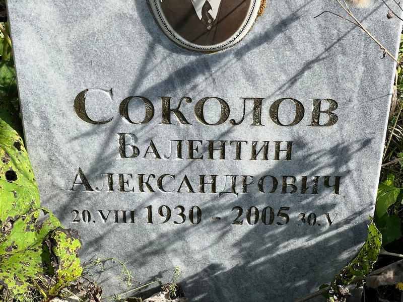 Соколов
