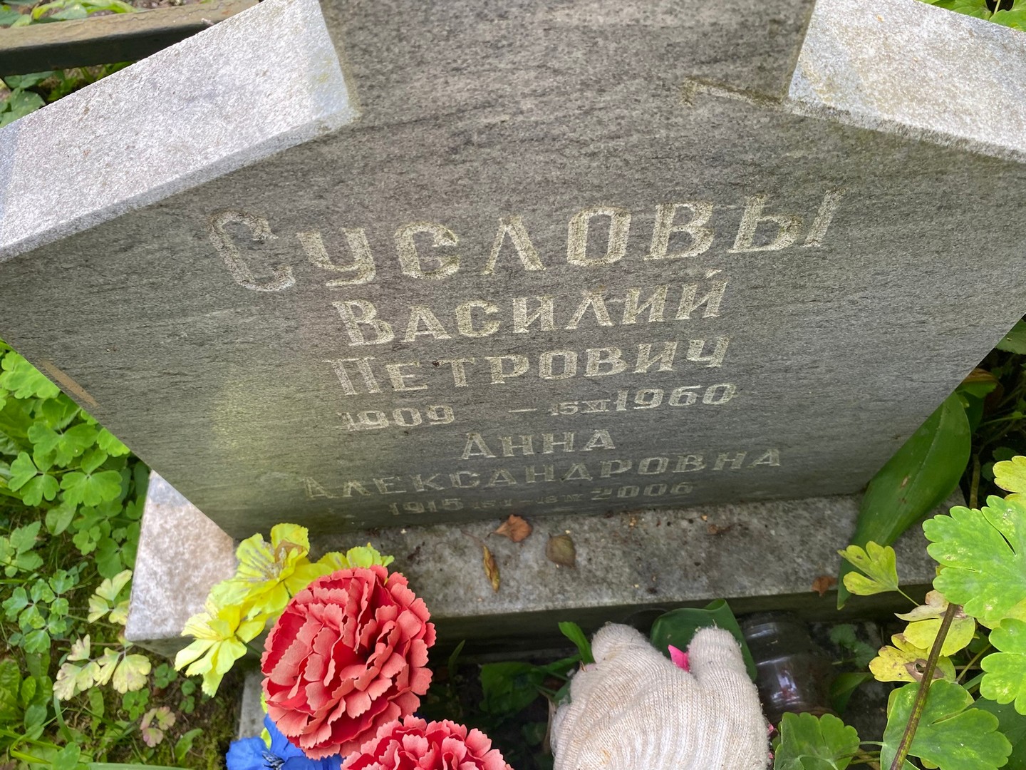 Суслова