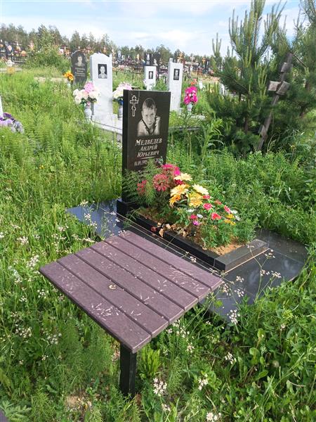 Медведев Андрей Юрьевич