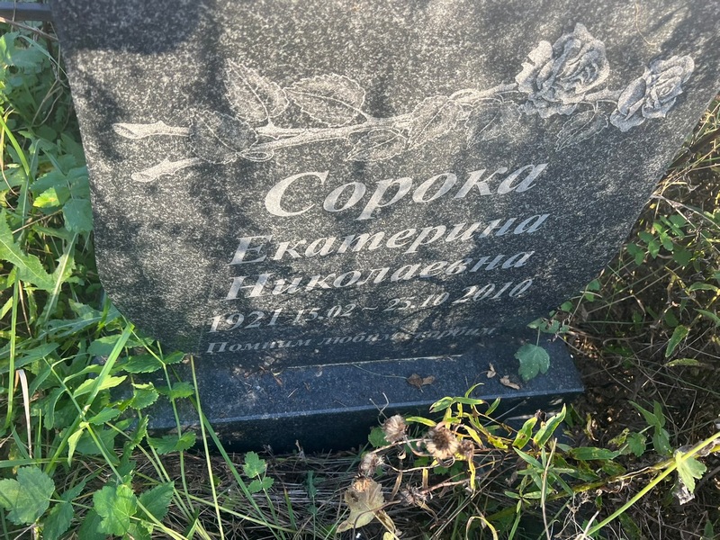 Сорока