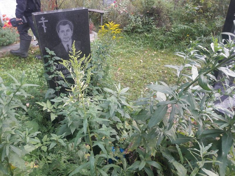 Воловецкий Александр Николаевич