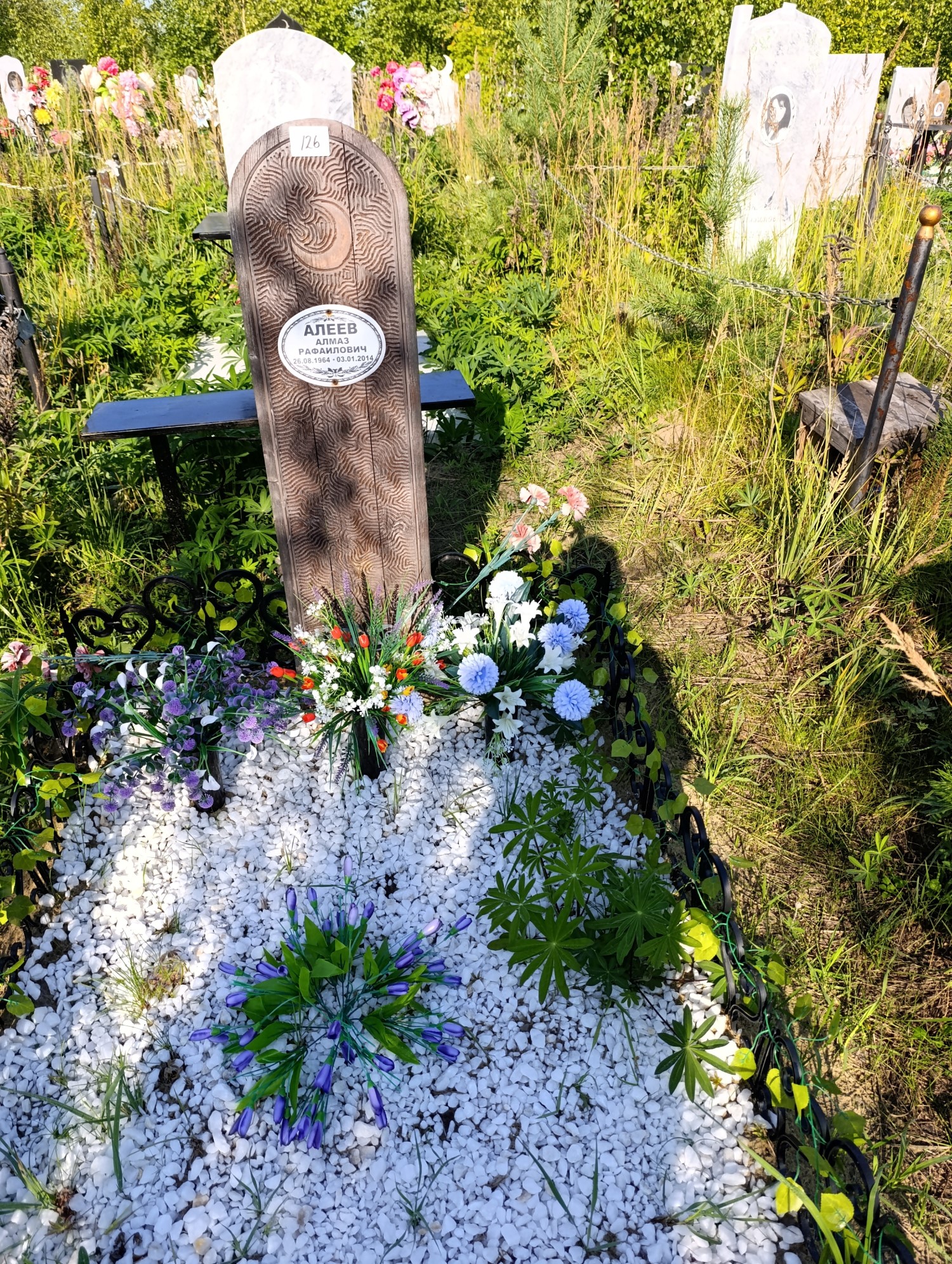 Алеев Алмаз Рафаилович