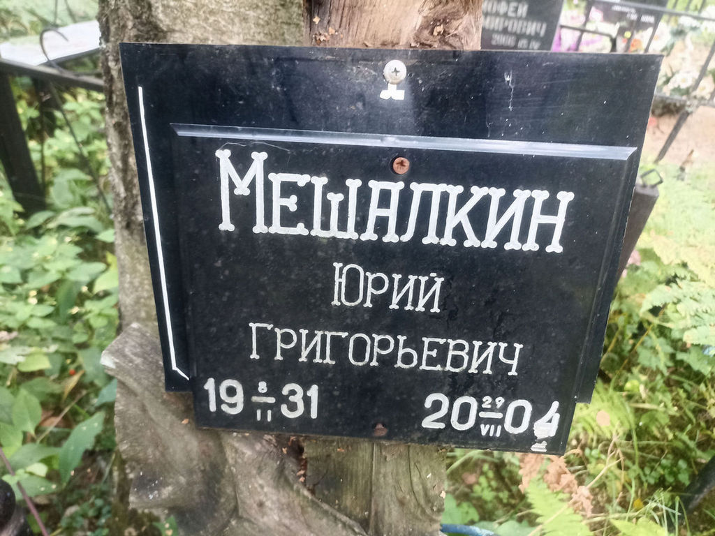 Мешалкин Юрий Григорьевич