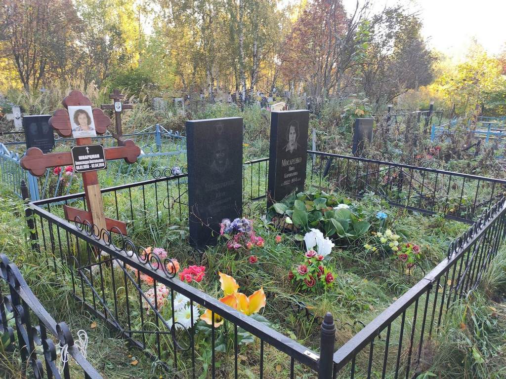 Шварцман Александра Анатольевна