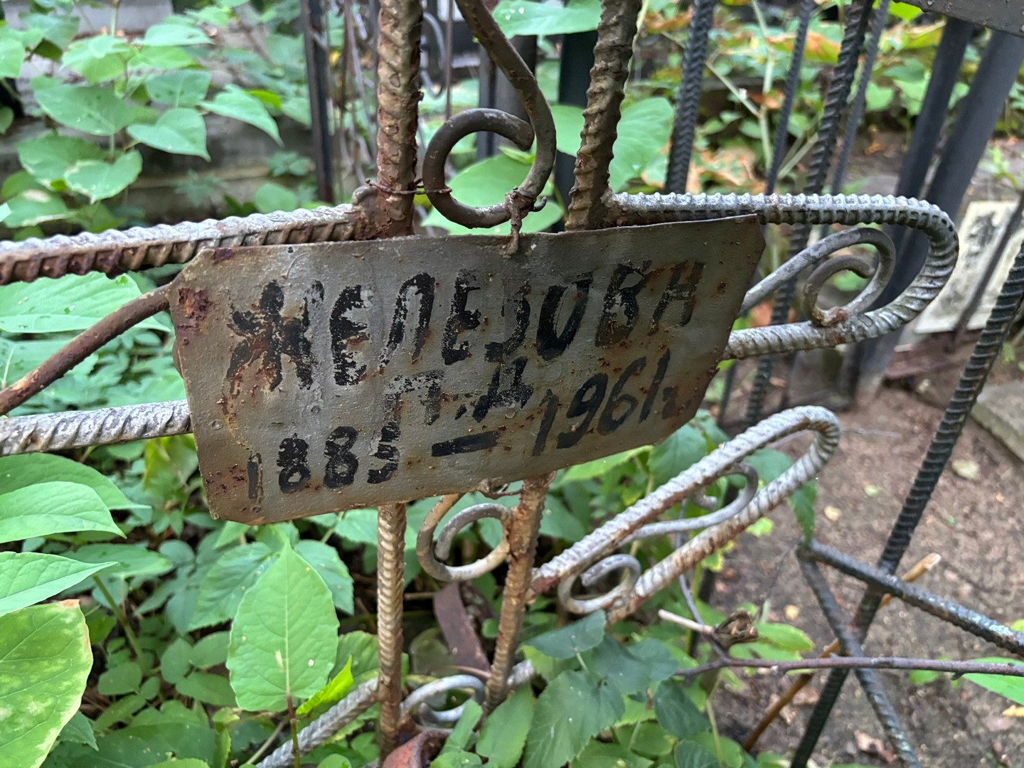 П Железова Д