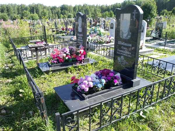 Шибаков Олег Геннадьевич