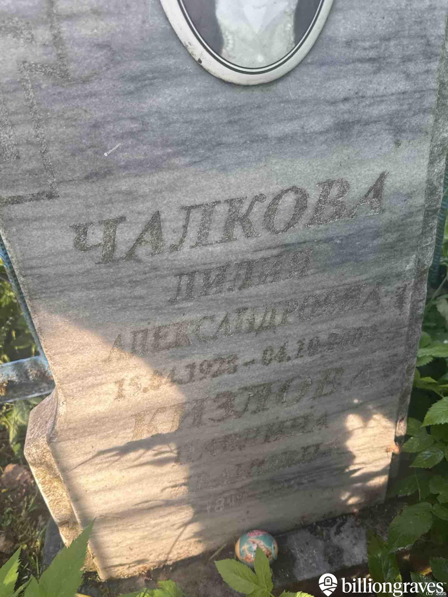 Чалкова Лилия Александровна