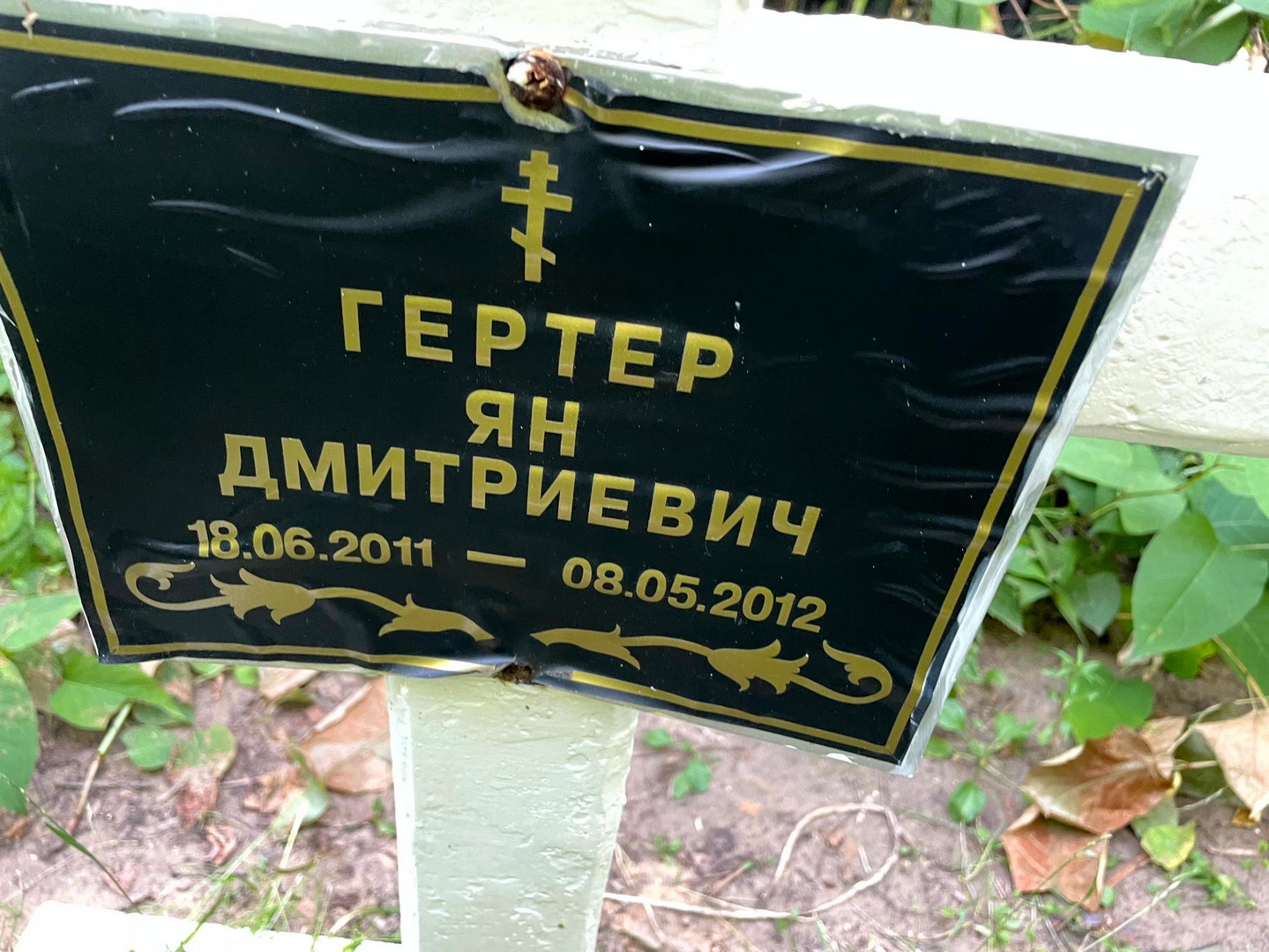 Ян Гертер Дмитриевич