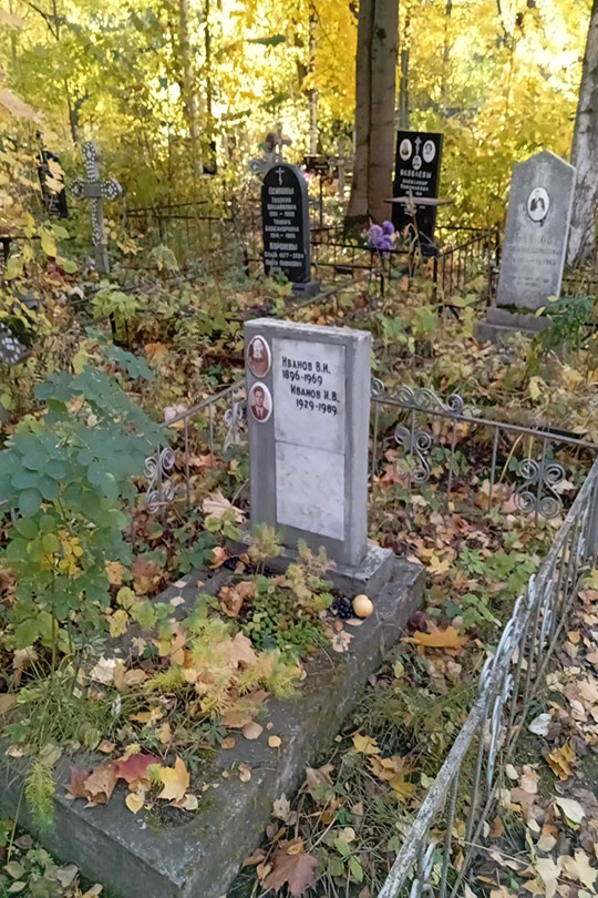 Иванов В. И.